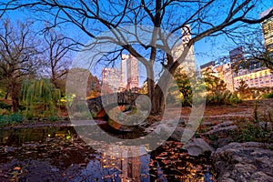 Night view of autumn landscape in Central Park. Gapstow bridge, New York City