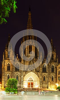 Night view of Barcelona Cathedral photo