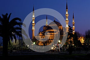 Night view of Blue Mosque (Sultanahmet Mosque) photo