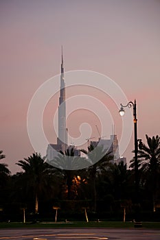 Night view of Burj Al Arab resort behind palms