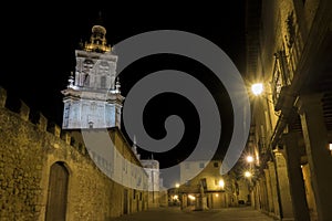 Night view of the cathedral in Burgo de Osma, Soria province, Spain.