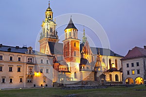 Night view of the cathedral of St Stanislaw and St Vaclav and Royal Castle on the Wawel Hill,