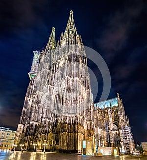 Night view of Cologne Cathedral - Germany