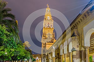 Night view of Cordoba, Spain