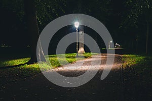 Night view of a dutch park and lightning lamp posts.