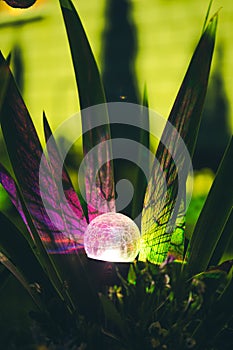 Night View Of Flowerbed Illuminated By Energy-Saving Solar Powered Colorful Multi-colored Lantern On Yard. Beautiful