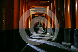 Night view of the Fushimi Inari-Taisha, the main Shinto shrine dedicated to the spirit of Inari in Kyoto.