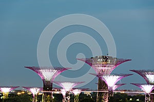 Night view of gardens by the bay slow shutter blur