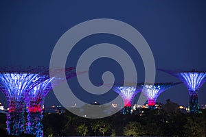 Night view of gardens by the bay slow shutter blur