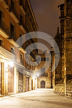 Night view of Gothic Quarter. Barcelona