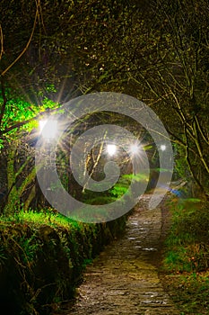 Night view of an illumintaed path leading to the third tower in san marino...IMAGE