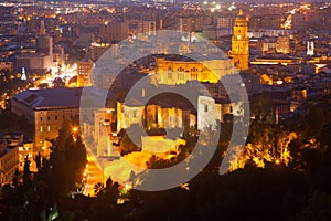 Night view of Malaga with Cathedral