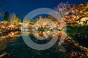 Night View with maple in Eikando temple, Kyoto, Japan