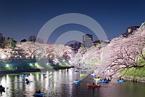 Night view of massive cherry blossoming with Tokyo city as background. Photoed at Chidorigafuchi, Tokyo, Japan..