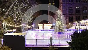 Night View of Natural History Museum Ice Rink