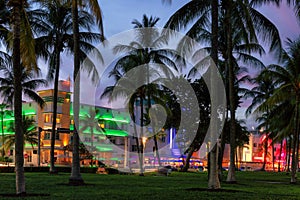 Night view of Ocean Drive in Miami Beach, Florida