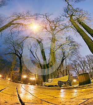 Night view original wet paving stones