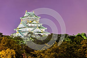 Night view of Osaka Castle in Japan