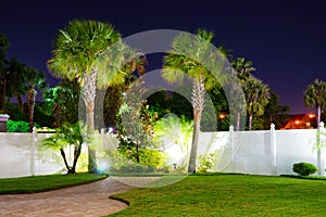Night view of palm trees