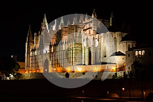 Night view of Palma de Mallorca Cathedral, La Seu, from Parc de la Mar. Palma, Majorca