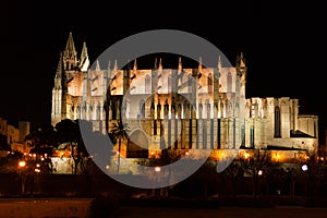 Night view of Palma de Mallorca Cathedral, La Seu, from the port. Palma, Majorca