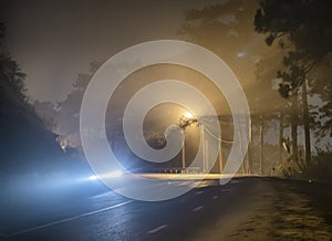 The night view of the pass road is full of fog with magical street lights