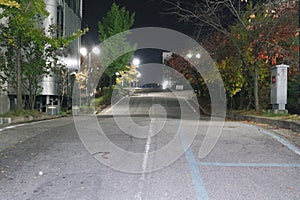 Night view of a paved pedestrian way or walk way with trees on sides