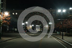 Night view of a paved pedestrian way or walk way with trees on sides