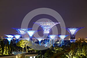 Night view of Supertree Grove in violet, Gardens by the Bay, Singapore