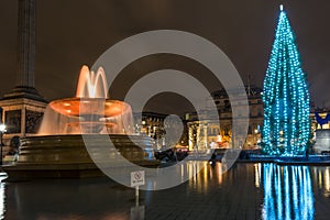 Night view of Trafalgar Square with christmas tree