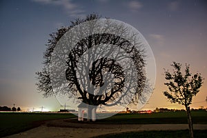 Night view of tree and chapel