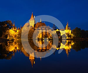 Night view of Vajdahunyad castle in Budapest