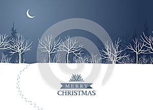 Night winter forest in the moonlight vector image