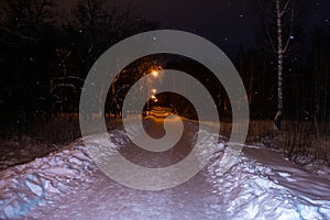 Night winter forest road light street lamp. snowytrees Park scene. snowfall