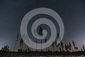 Night winter forest and starry sky, landscape astrophoto in Estonia