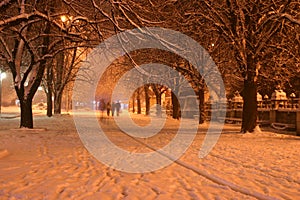 Night winter landscape