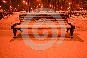 Night winter landscape in the alley of city park