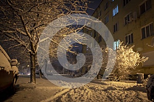 Night winter landscape in the alley of city street