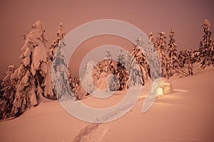 Night winter landscape with snow igloo