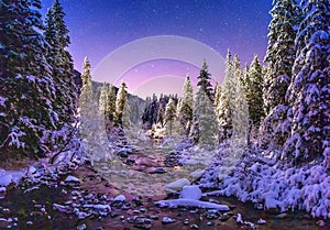 Night winter nature landscape in mountains