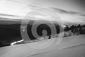 Night winter snowy view with snow-drafted hills and firs forest