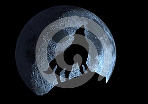 Night wolf howls at the moon