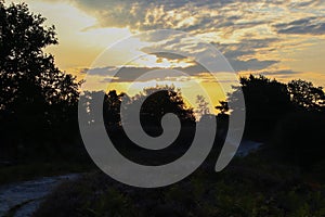 Nightfall at Brunssummerheide