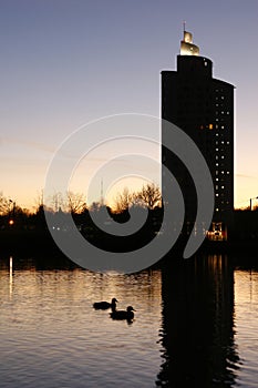 Nightfall by the river with ducks and a skyscraper