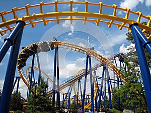 Nighthawk coaster