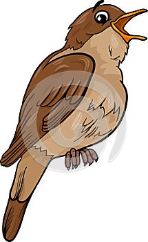 Nightingale bird cartoon illustration