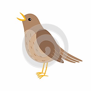 Nightingale bird. Vector illustration Isolated on white background.