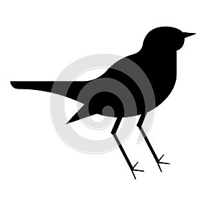 Nightingale Luscinia Bird silhouette icon black color vector illustration flat style image