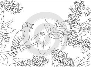 Nightingale singing on a branch with flowers