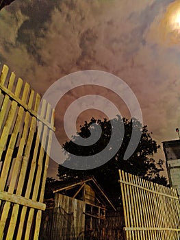 Nightmode dark sky blacktree nature